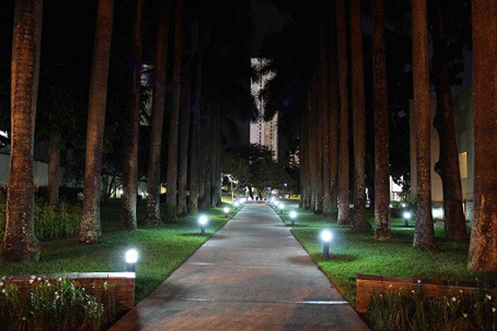 Vidro Timoneiro para Reposição em Balizador de Jardim - Ames Iluminação