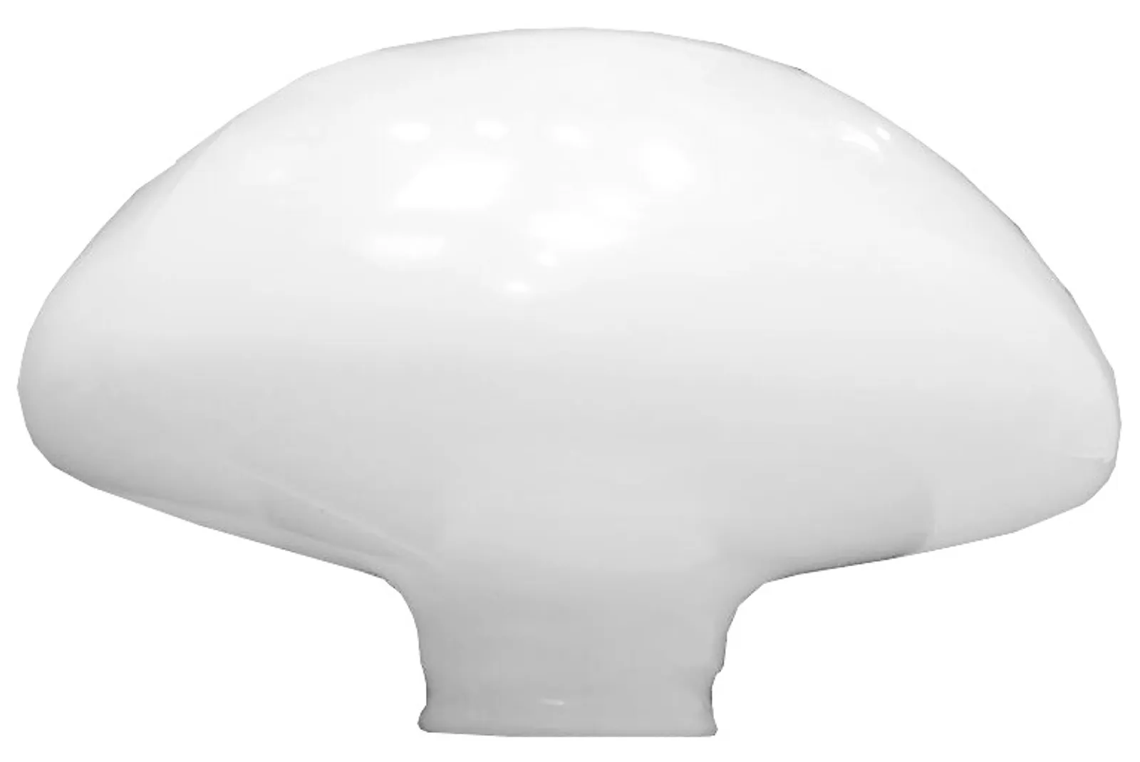 Globo de Plástico Cogumelo Boca 15