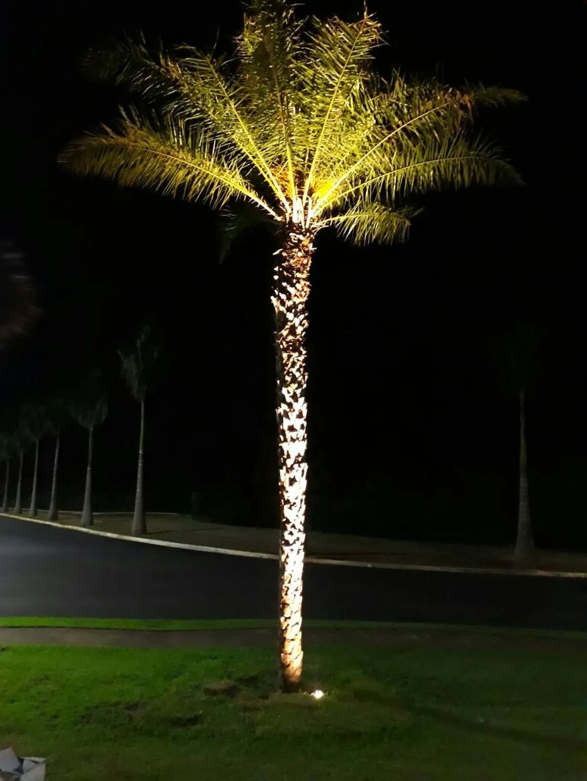 Lâmpada AR111 25w 2000 lúmens 24° - Uso em embutido de solo.